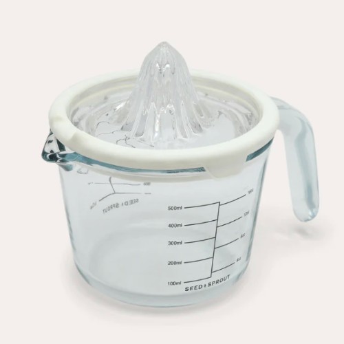 Glass and Silicone Juicer