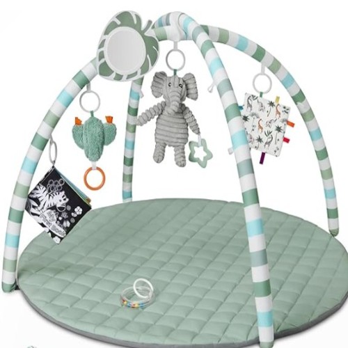 Baby Activity Gym