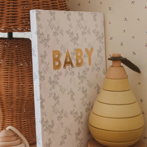 Baby Book
