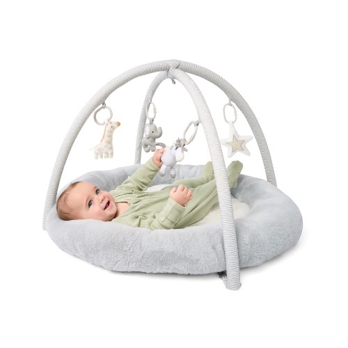 Plush Play Mat and Gym