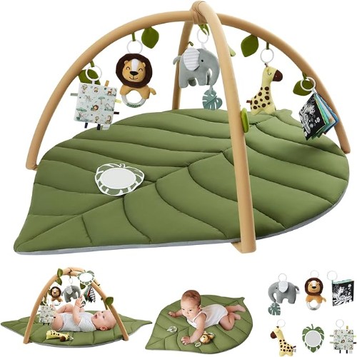 Safari Play Gym