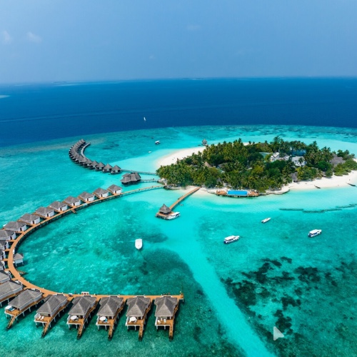 Honeymoon Fund