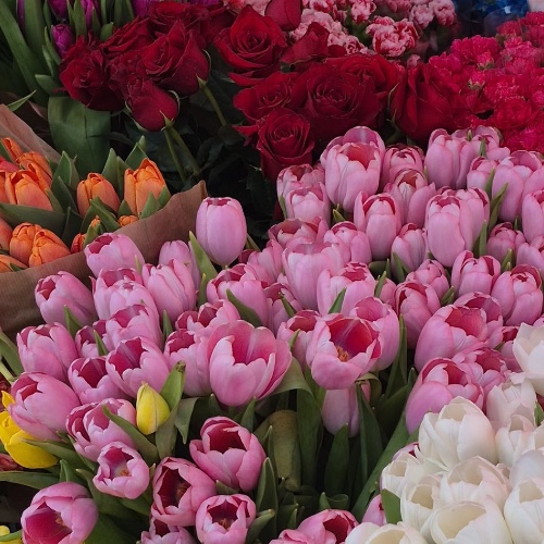 A Little Something Toward Something Special ✨