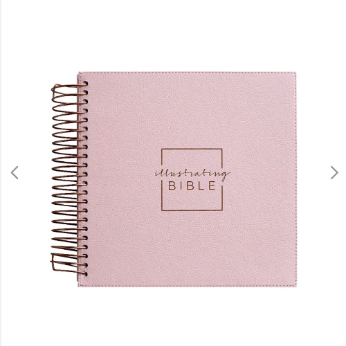 NIV Illustrating Bible Pink Faux Leather