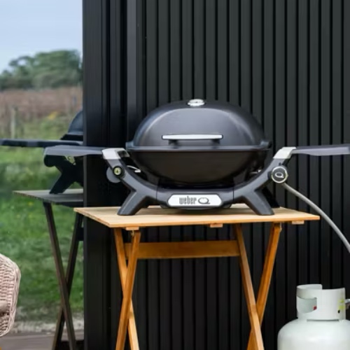 Weber Baby Q