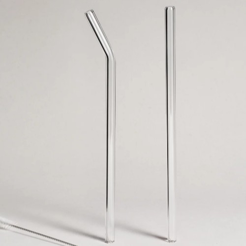 T2 Everyday Glass Straw 2Pk