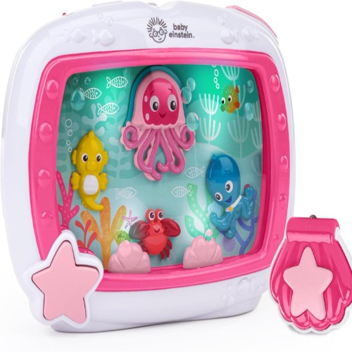 Baby Einstein Musical Soother