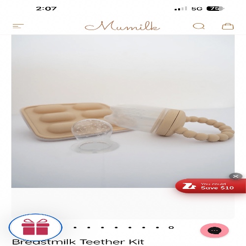Breastmilk   Teether   Kit