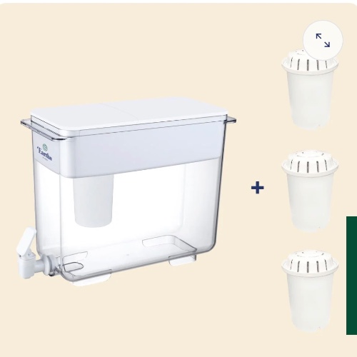 Water filter
