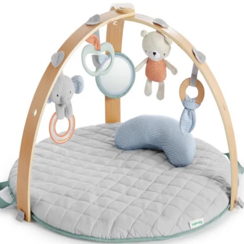 Play Gym x1
