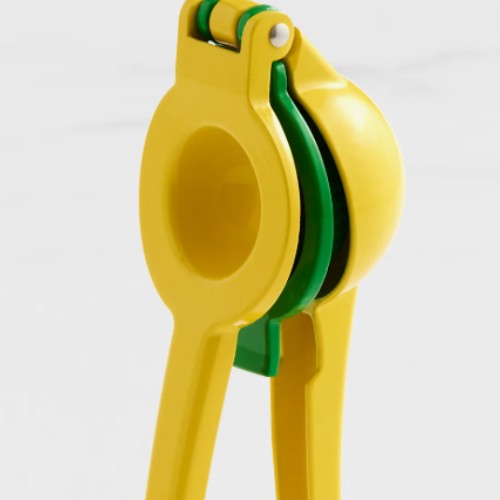 Citrus squeezer