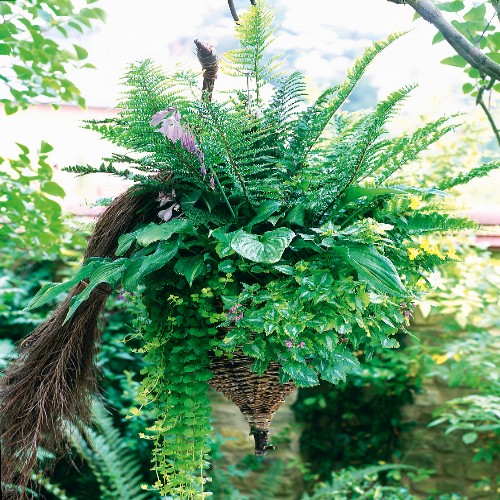 Hanging basket