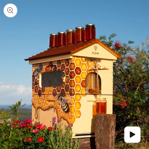 Flow Bee Hive