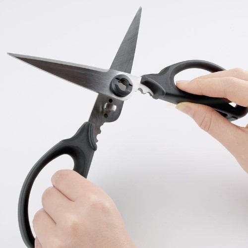 Scissors (separable blades)