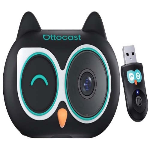 Car camera (instead of mirror)