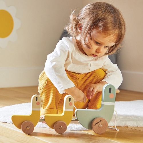 Wooden pull along toy