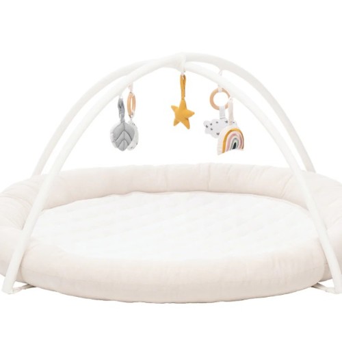 ollie perfect play gym