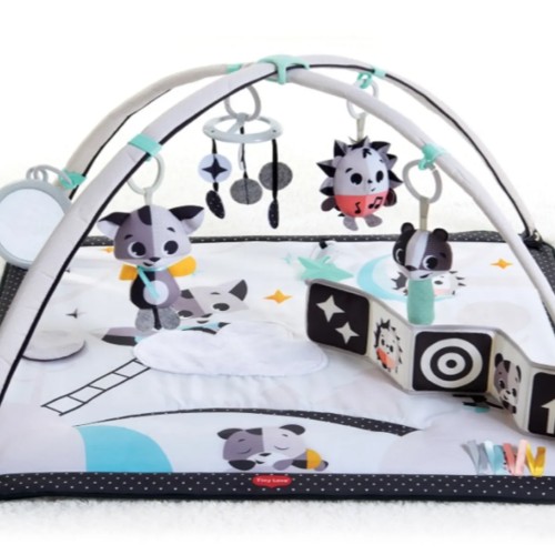 Play Gym