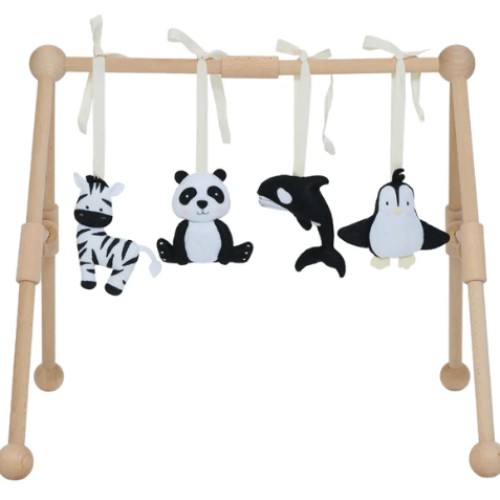 Activity frame