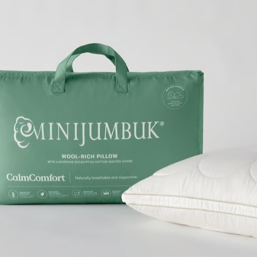 Pillow insert x2
