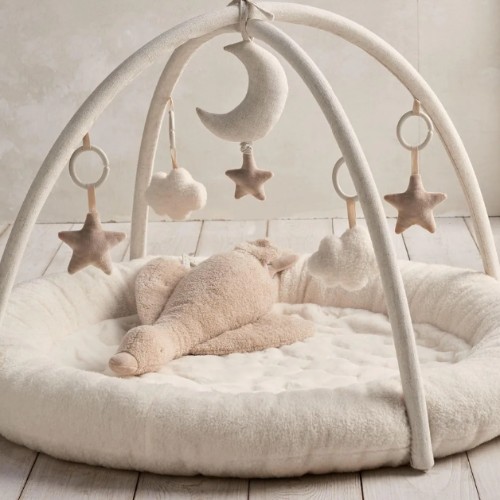 Playmat & Gym - Welcome to the World Duckling