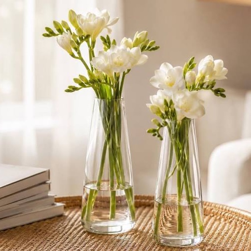 Glass Vases