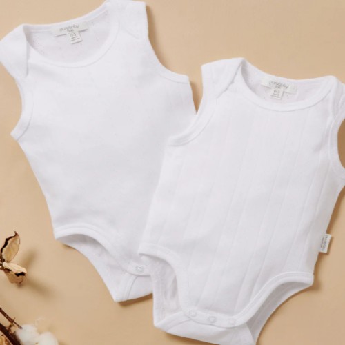 Pointelle 2 Pack Singlet Bodysuit