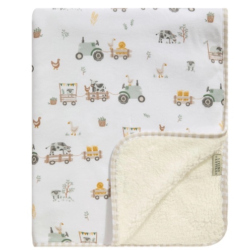Winter Sherpa Blanket