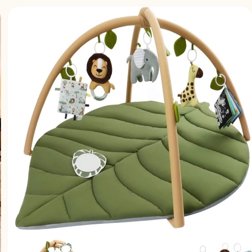 Play gym