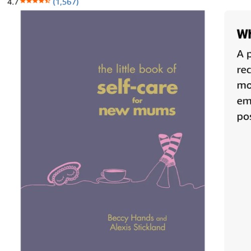 Little book of self care for new mums
