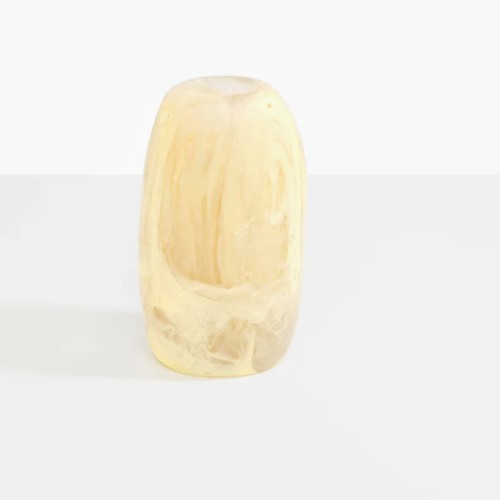 Dinosaur Designs Vase