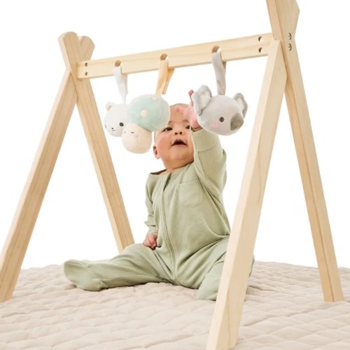 Activity Gym