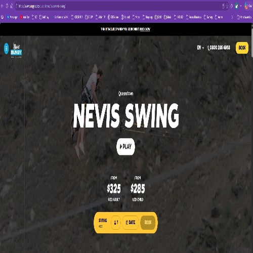 Nevis Canyon Swing