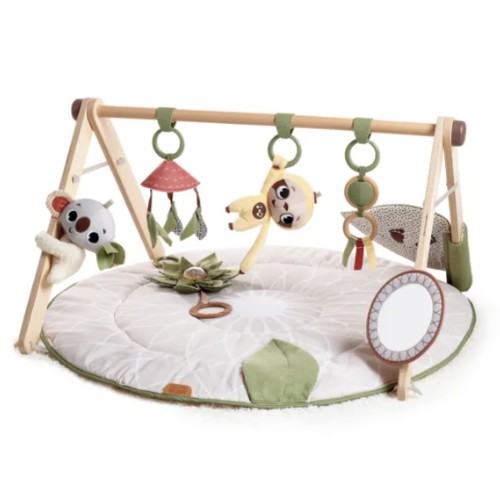 Play Mat & Gym