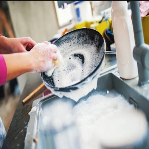 First dishes