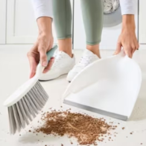 Dust pan and brush